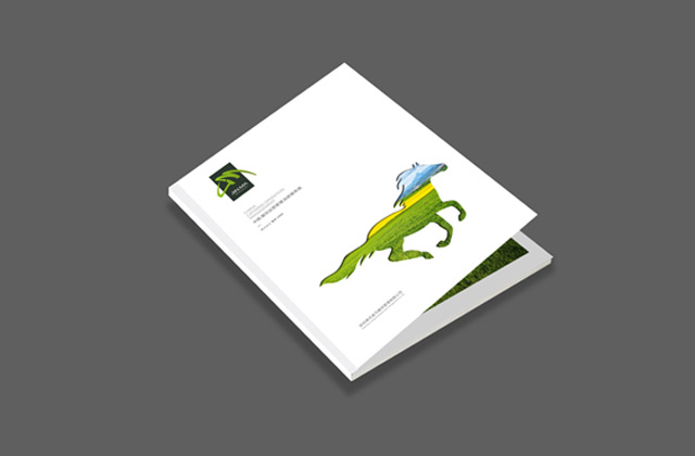 港式金馬 | 餐飲畫冊(cè)策劃設(shè)計(jì)