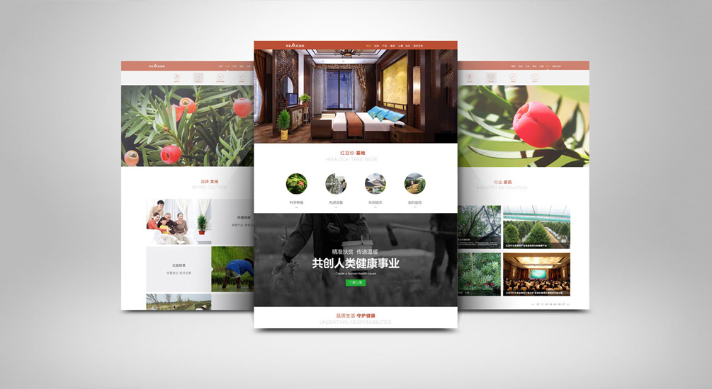 1613882024120859.jpg 案例祥情2.jpg